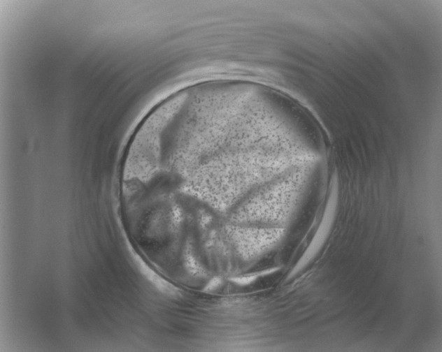 X0000062791531200601051032