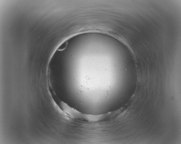 X0000062791532200601051032