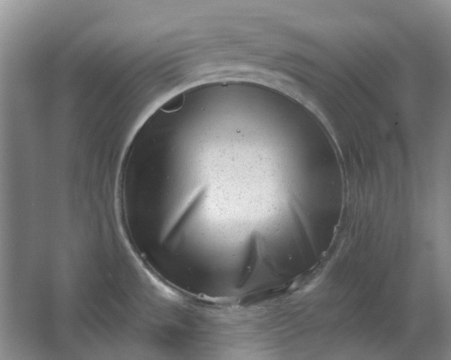 X0000062791533200601051032