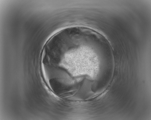 X0000062791534200601051032