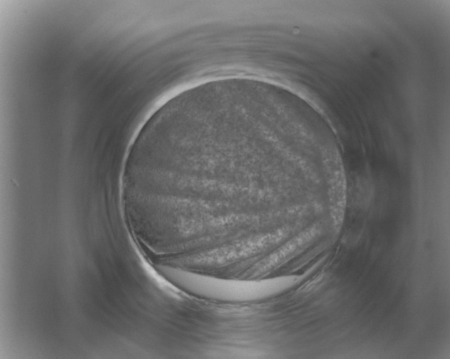 X0000062791535200601051032