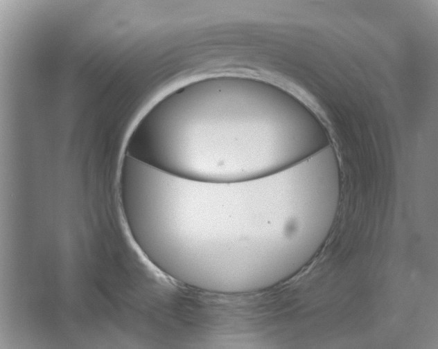 X0000062791536200601051032