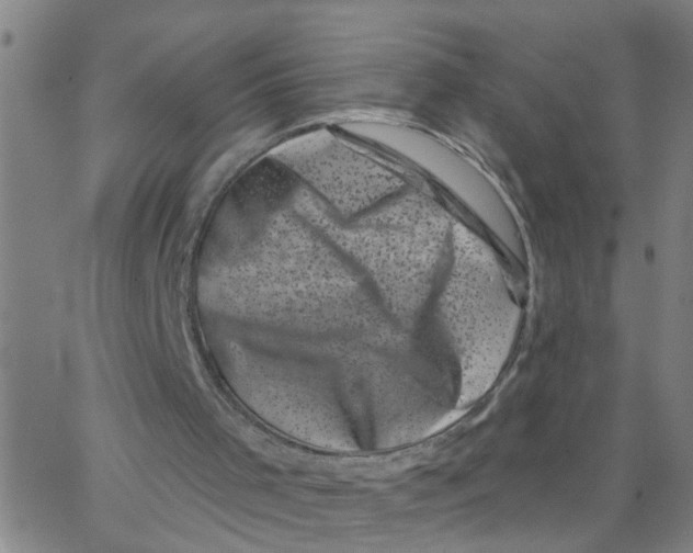 X0000062790001200601121326
