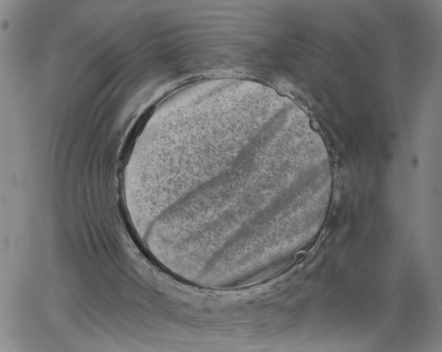 X0000062790002200601121326