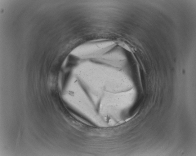 X0000062790033200601121326