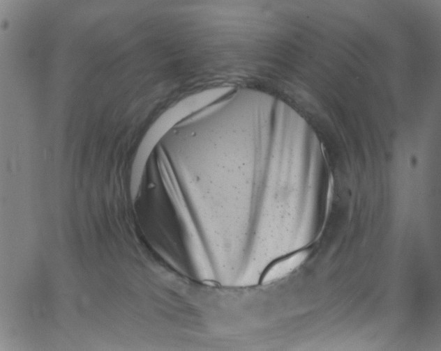 X0000062790037200601121326