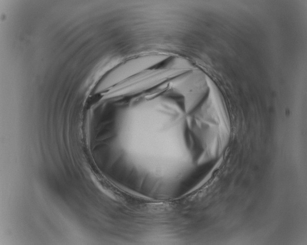 X0000062790050200601121325