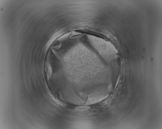 X0000062790051200601121325