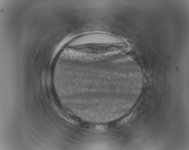 X0000062790056200601121325