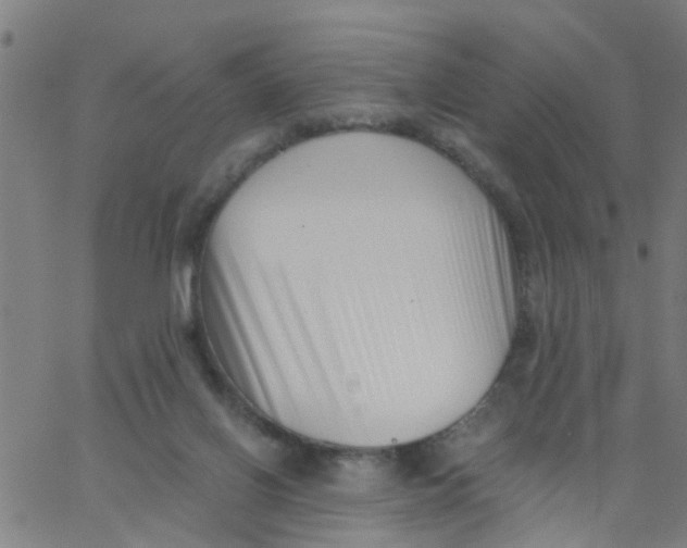 X0000062790070200601121325