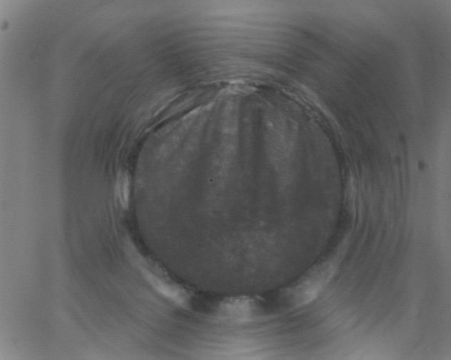 X0000062790076200601121325