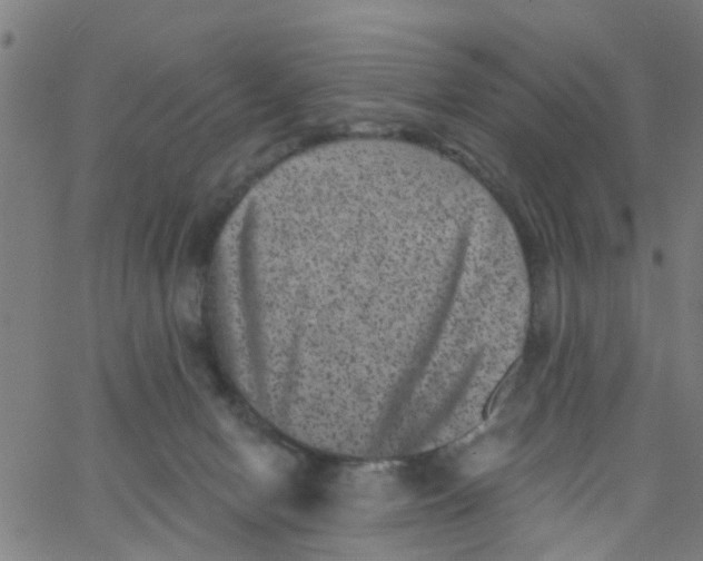 X0000062790078200601121325