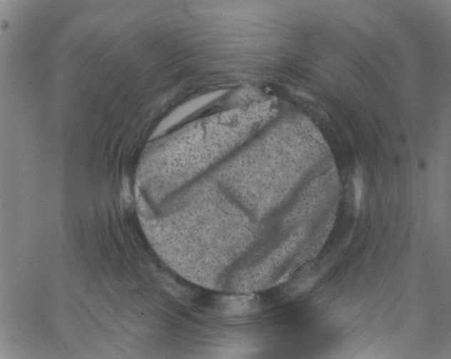 X0000062790089200601121325