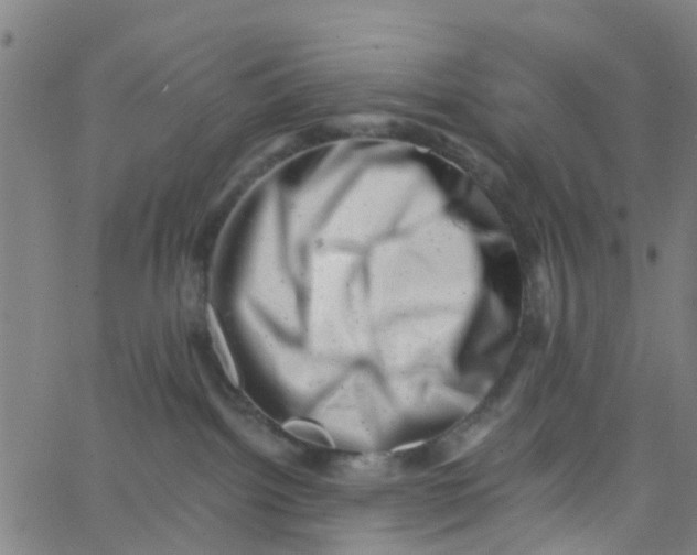X0000062790092200601121326