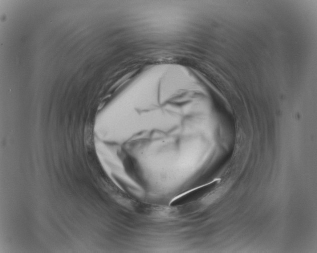 X0000062790096200601121326
