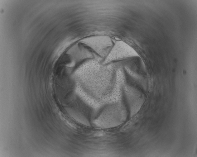 X0000062790098200601121325