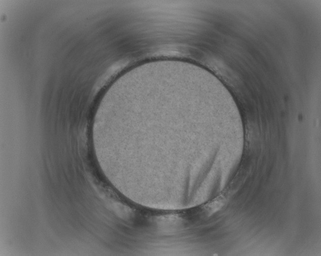 X0000062790112200601121325