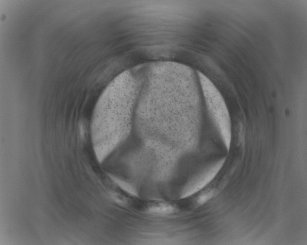 X0000062790125200601121324