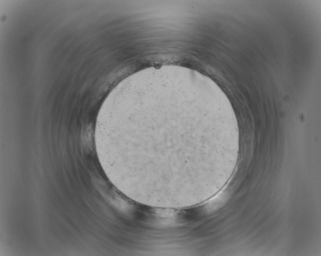 X0000062790144200601121324
