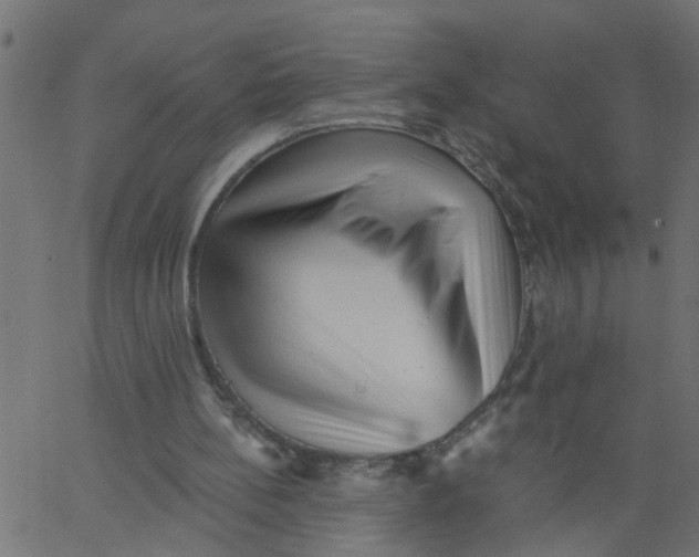 X0000062790148200601121323