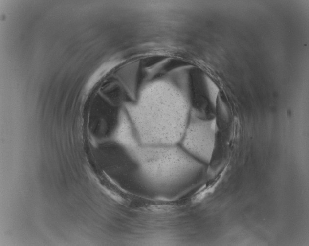 X0000062790150200601121323