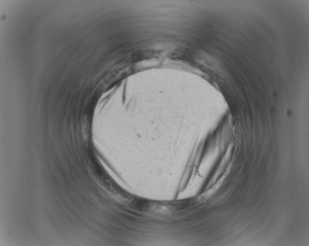 X0000062790174200601121324