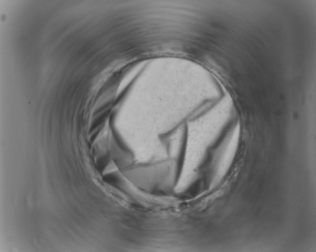 X0000062790193200601121323