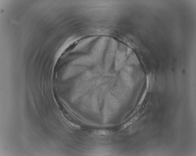 X0000062790195200601121323