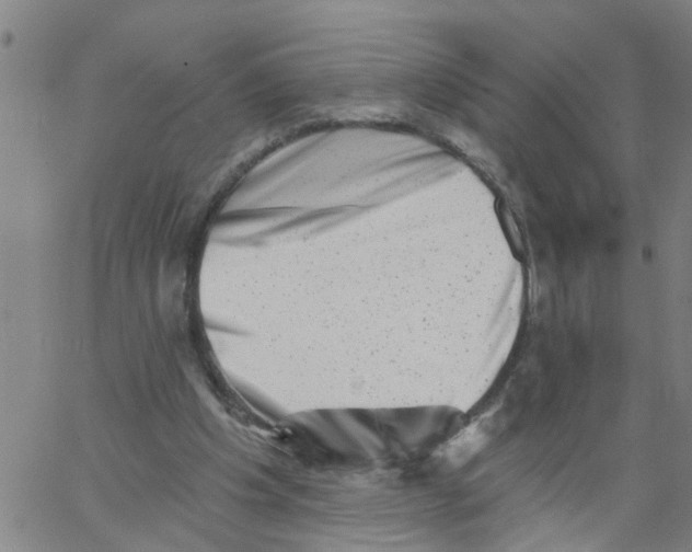X0000062790201200601121323