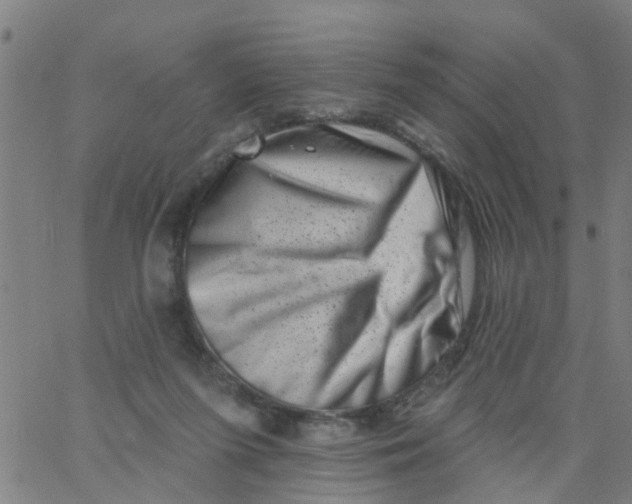 X0000062790215200601121323