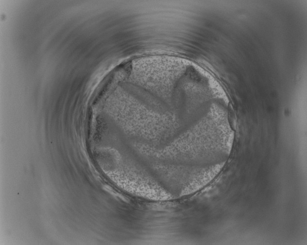 X0000062790241200601121322