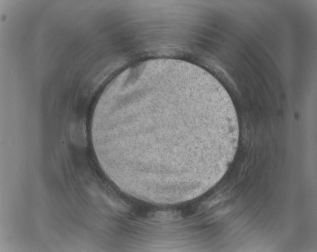 X0000062790251200601121322