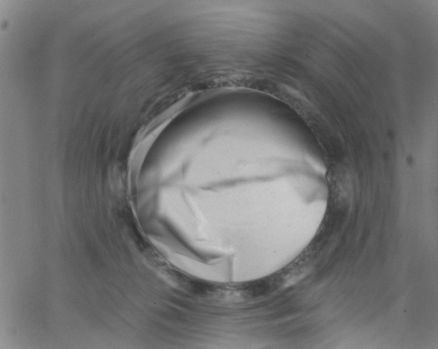 X0000062790276200601121322