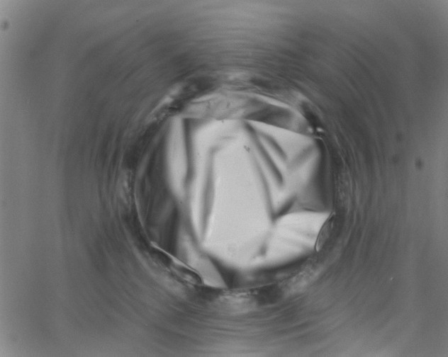 X0000062790280200601121322