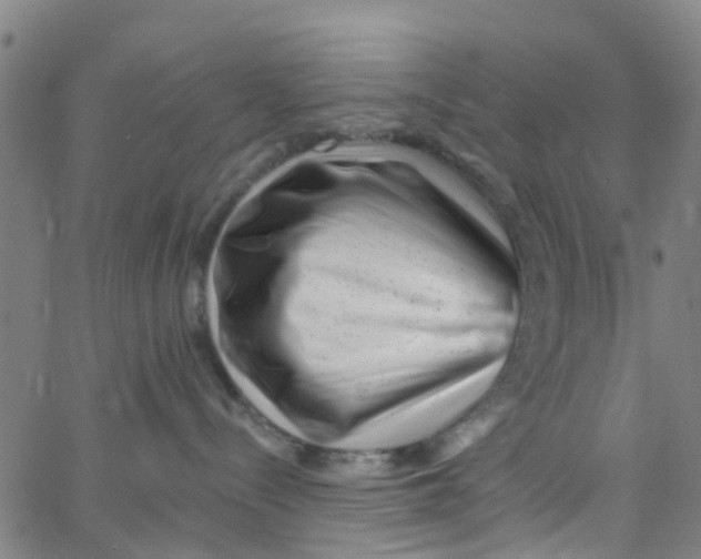 X0000062790288200601121322