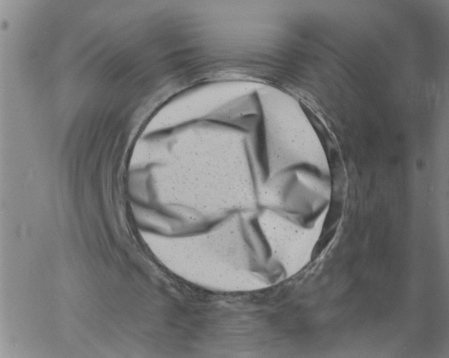X0000062790289200601121322