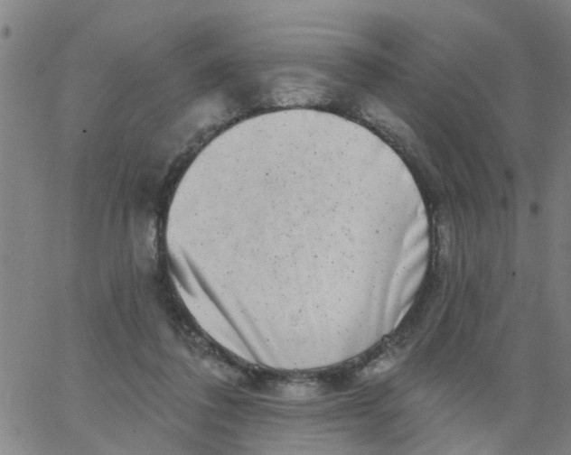 X0000062790308200601121321