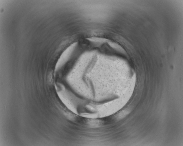 X0000062790336200601121321