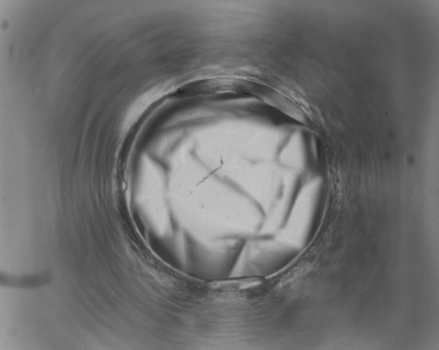 X0000062790340200601121320