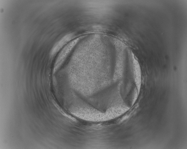 X0000062790341200601121320