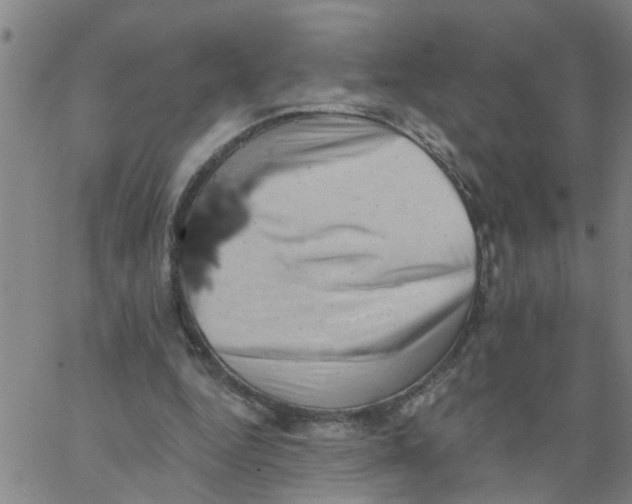 X0000062790344200601121320