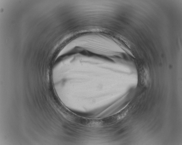 X0000062790350200601121320