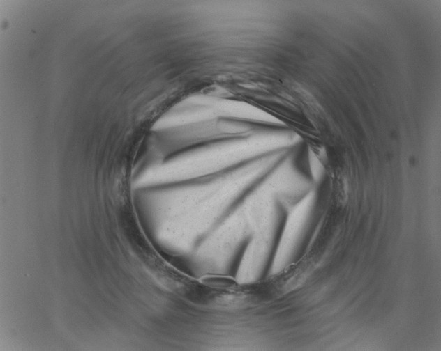 X0000062790364200601121320