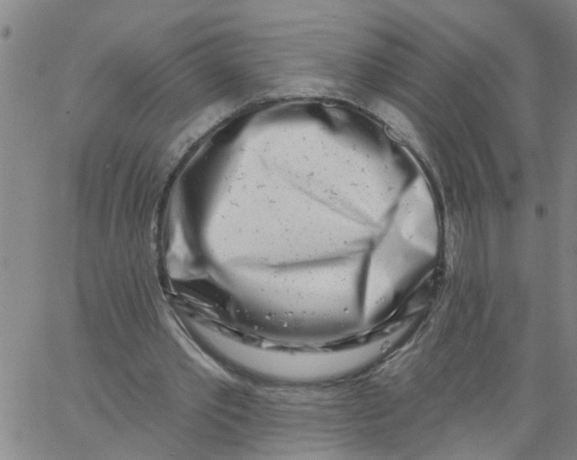 X0000062790389200601121320