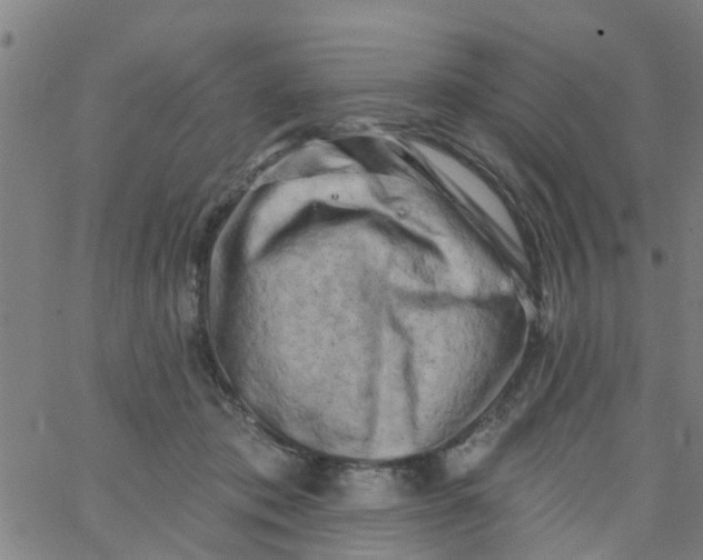 X0000062790413200601121319