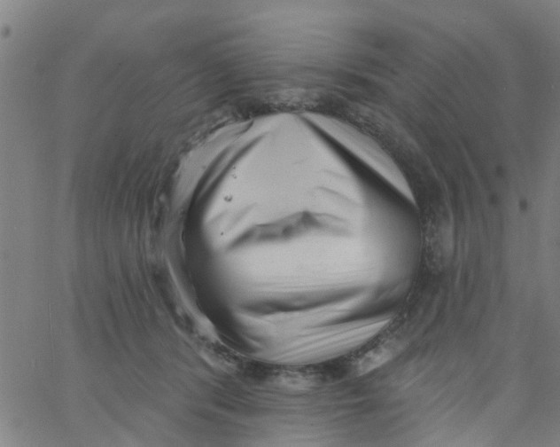 X0000062790416200601121319