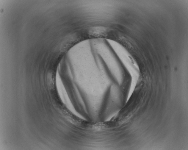 X0000062790420200601121319