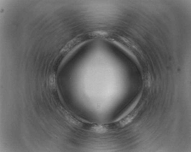 X0000062790425200601121319
