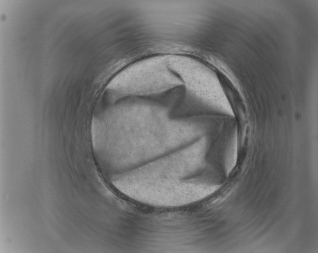 X0000062790433200601121318