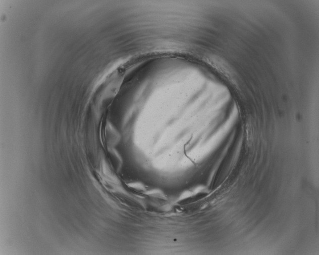 X0000062790436200601121318